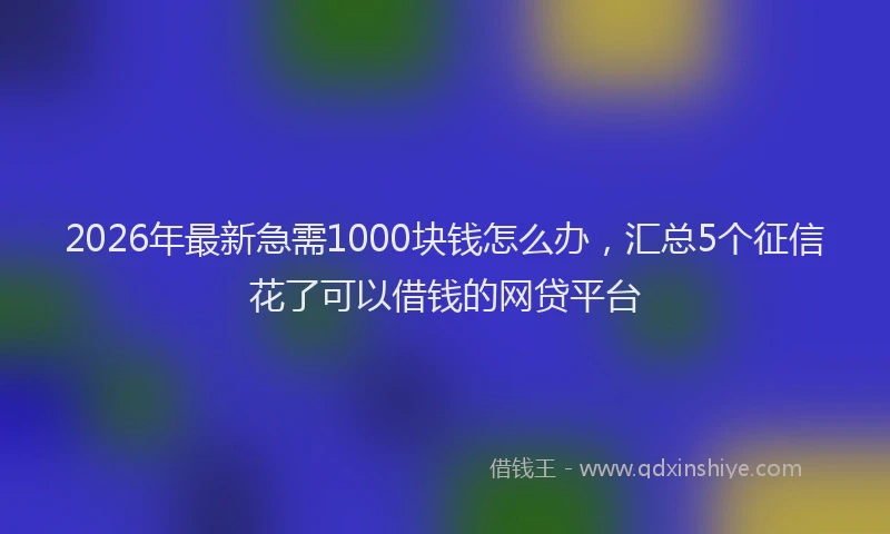 2026年最新急需1000块钱怎么办，汇总5个征信花了可以借钱的网贷平台