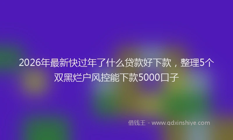 2026年最新快过年了什么贷款好下款，整理5个双黑烂户风控能下款5000口子