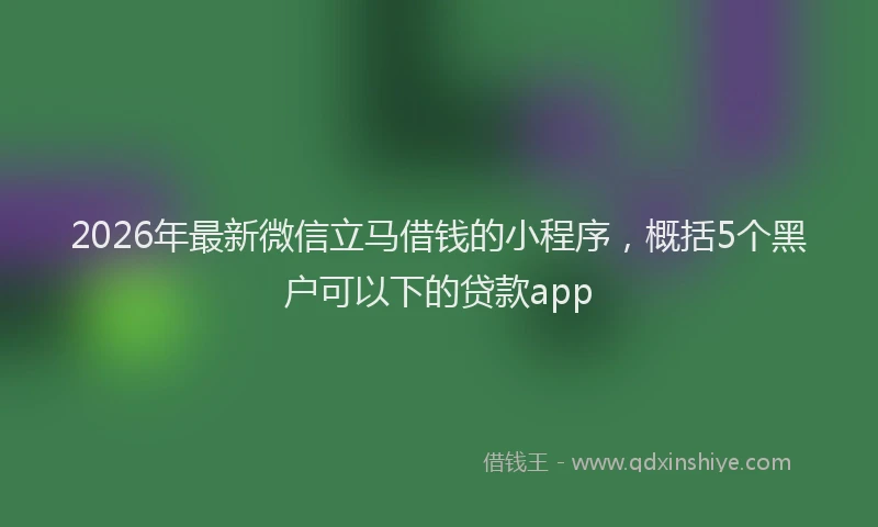 2026年最新微信立马借钱的小程序，概括5个黑户可以下的贷款app