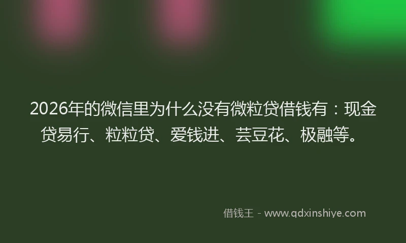 2026年的微信里为什么没有微粒贷借钱有：现金贷易行、粒粒贷、爱钱进、芸豆花、极融等。