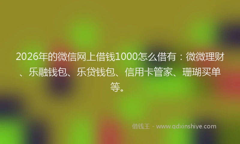 2026年的微信网上借钱1000怎么借有：微微理财、乐融钱包、乐贷钱包、信用卡管家、珊瑚买单等。