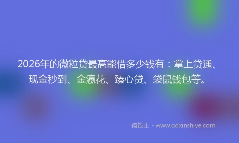 2026年的微粒贷最高能借多少钱有：掌上贷通、现金秒到、金瀛花、臻心贷、袋鼠钱包等。