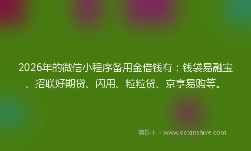 2026年的微信小程序备用金借钱有：钱袋易融宝、招联好期贷、闪用、粒粒贷、京享易购等。