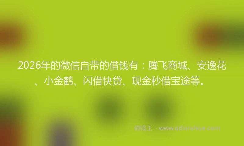 2026年的微信自带的借钱有：腾飞商城、安逸花、小金鹤、闪借快贷、现金秒借宝途等。