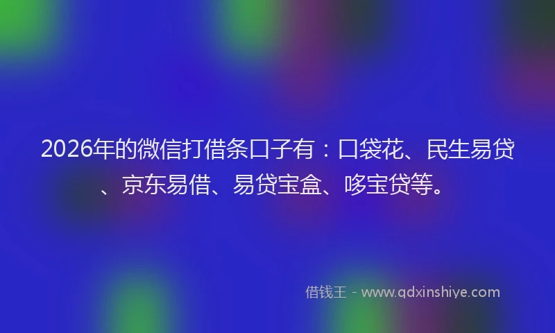 2026年的微信打借条口子有：口袋花、民生易贷、京东易借、易贷宝盒、哆宝贷等。