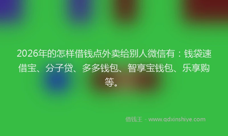 2026年的怎样借钱点外卖给别人微信有：钱袋速借宝、分子贷、多多钱包、智享宝钱包、乐享购等。