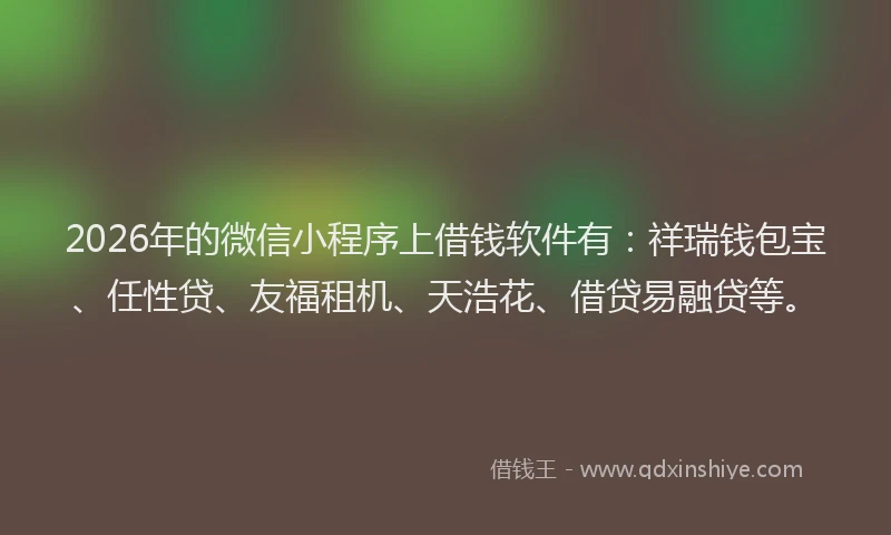 2026年的微信小程序上借钱软件有：祥瑞钱包宝、任性贷、友福租机、天浩花、借贷易融贷等。
