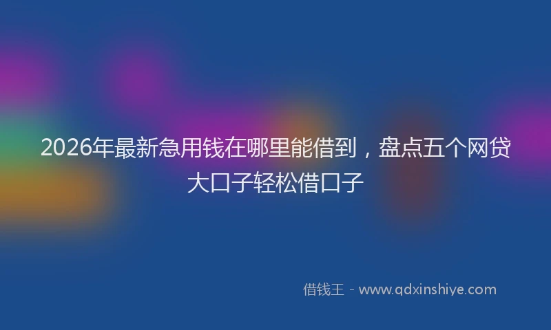 2026年最新急用钱在哪里能借到，盘点五个网贷大口子轻松借口子