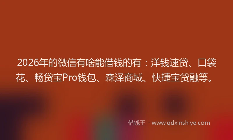 2026年的微信有啥能借钱的有：洋钱速贷、口袋花、畅贷宝Pro钱包、森泽商城、快捷宝贷融等。