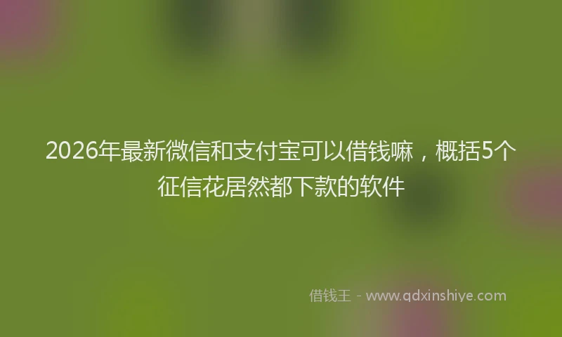2026年最新微信和支付宝可以借钱嘛，概括5个征信花居然都下款的软件