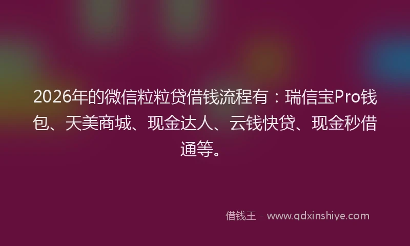 2026年的微信粒粒贷借钱流程有：瑞信宝Pro钱包、天美商城、现金达人、云钱快贷、现金秒借通等。