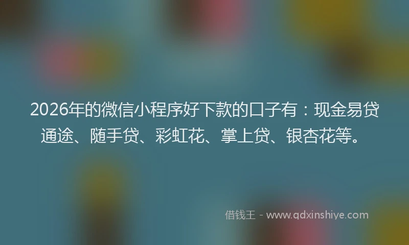 2026年的微信小程序好下款的口子有：现金易贷通途、随手贷、彩虹花、掌上贷、银杏花等。