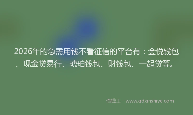 2026年的急需用钱不看征信的平台有：金悦钱包、现金贷易行、琥珀钱包、财钱包、一起贷等。