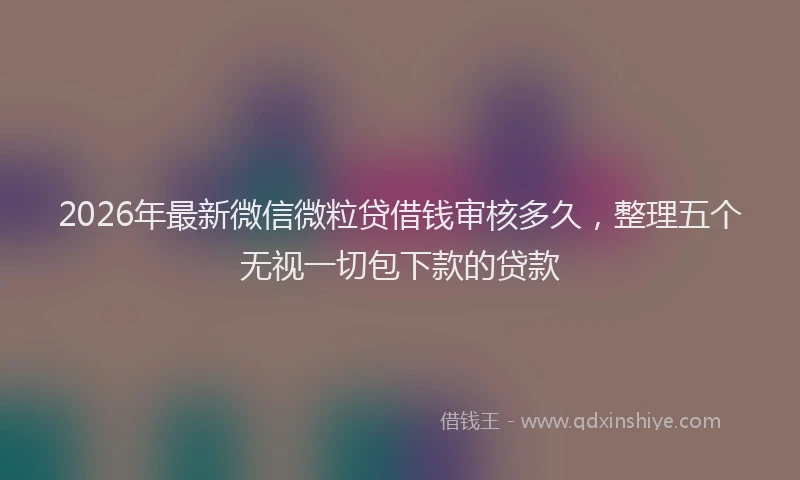 2026年最新微信微粒贷借钱审核多久，整理五个无视一切包下款的贷款