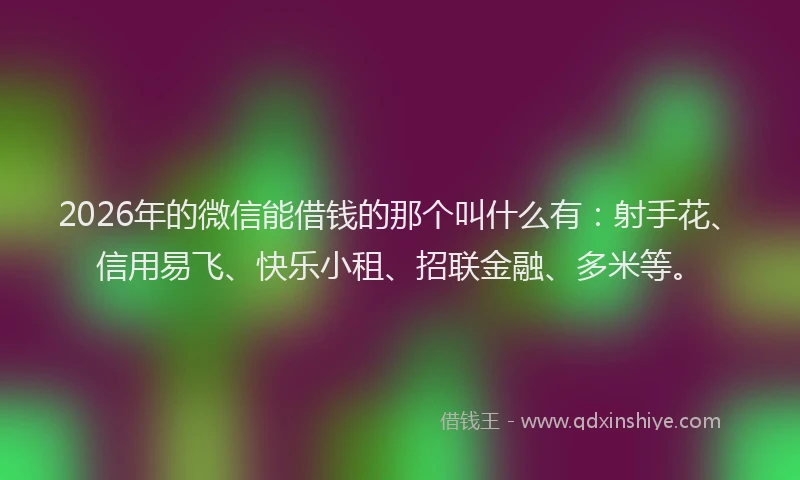 2026年的微信能借钱的那个叫什么有：射手花、信用易飞、快乐小租、招联金融、多米等。