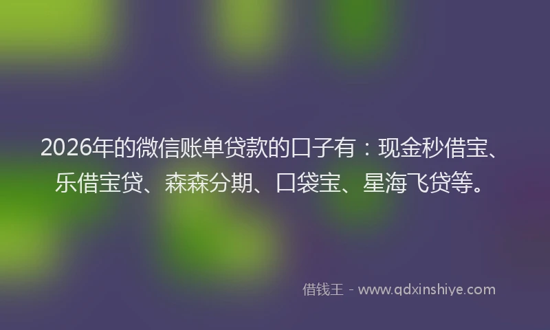2026年的微信账单贷款的口子有：现金秒借宝、乐借宝贷、森森分期、口袋宝、星海飞贷等。