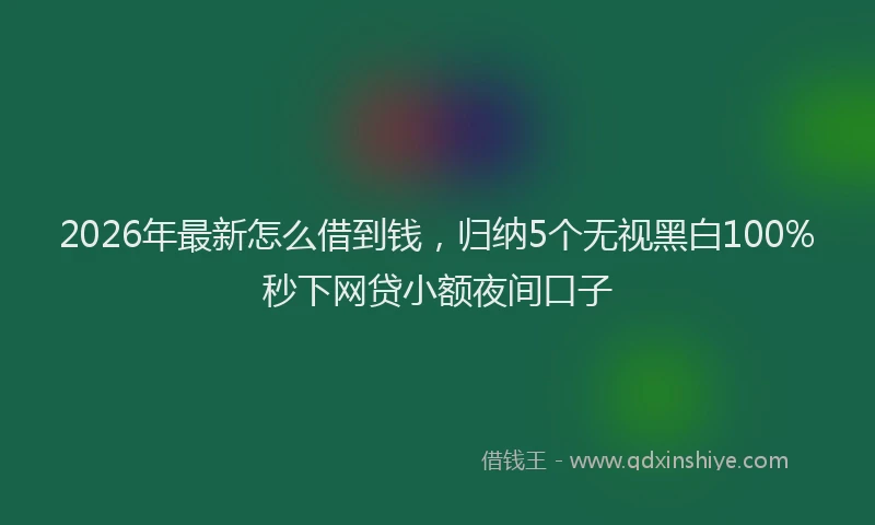 2026年最新怎么借到钱，归纳5个无视黑白100%秒下网贷小额夜间口子