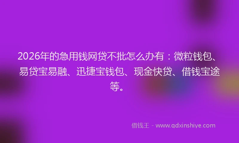 2026年的急用钱网贷不批怎么办有：微粒钱包、易贷宝易融、迅捷宝钱包、现金快贷、借钱宝途等。