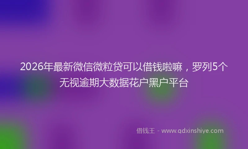 2026年最新微信微粒贷可以借钱啦嘛，罗列5个无视逾期大数据花户黑户平台