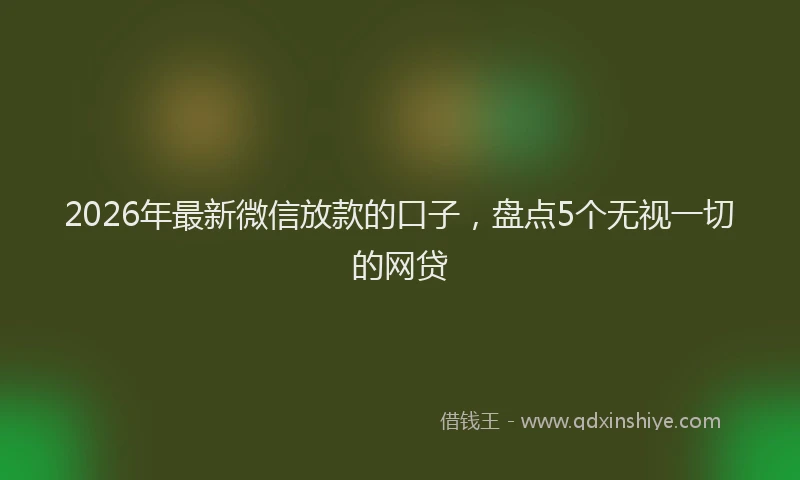2026年最新微信放款的口子，盘点5个无视一切的网贷