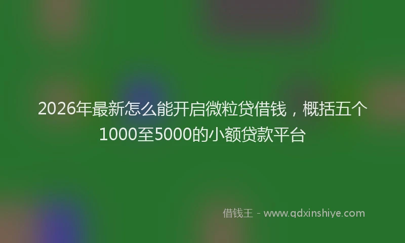 2026年最新怎么能开启微粒贷借钱，概括五个1000至5000的小额贷款平台