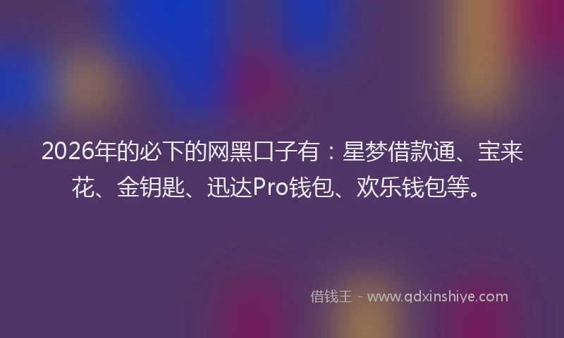 2026年的必下的网黑口子有：星梦借款通、宝来花、金钥匙、迅达Pro钱包、欢乐钱包等。