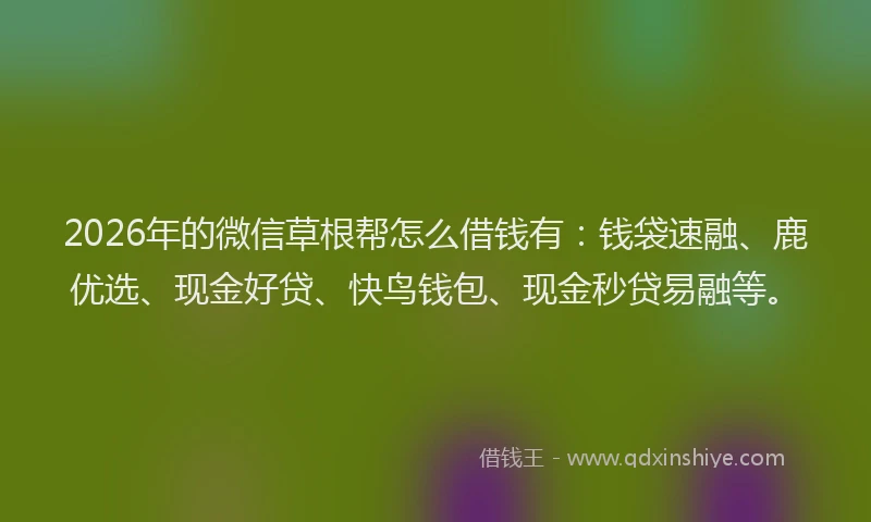 2026年的微信草根帮怎么借钱有：钱袋速融、鹿优选、现金好贷、快鸟钱包、现金秒贷易融等。