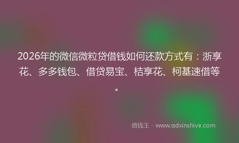 2026年的微信微粒贷借钱如何还款方式有：浙享花、多多钱包、借贷易宝、桔享花、柯基速借等。