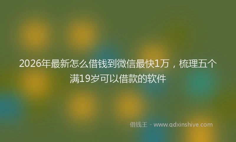 2026年最新怎么借钱到微信最快1万，梳理五个满19岁可以借款的软件