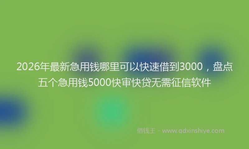 2026年最新急用钱哪里可以快速借到3000，盘点五个急用钱5000快审快贷无需征信软件