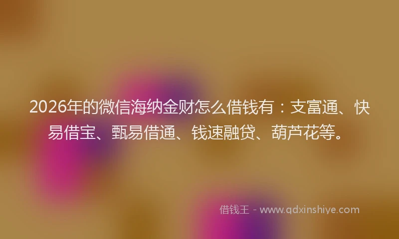 2026年的微信海纳金财怎么借钱有：支富通、快易借宝、甄易借通、钱速融贷、葫芦花等。