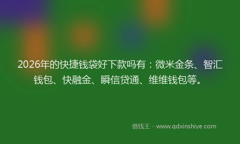 2026年的快捷钱袋好下款吗有:微米金条、智汇钱包、快融金、瞬信贷通、维维钱包等。
