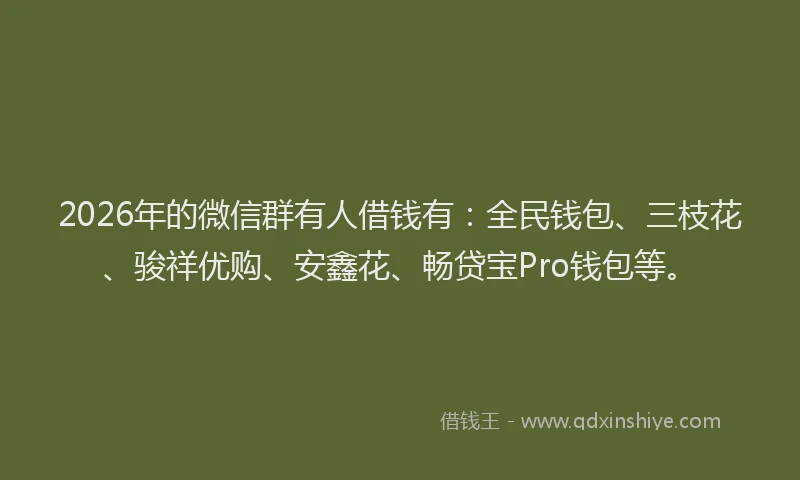 2026年的微信群有人借钱有：全民钱包、三枝花、骏祥优购、安鑫花、畅贷宝Pro钱包等。