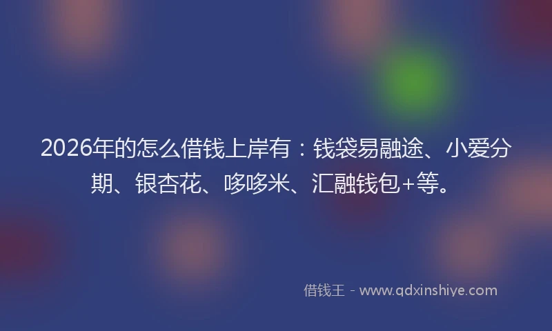 2026年的怎么借钱上岸有：钱袋易融途、小爱分期、银杏花、哆哆米、汇融钱包+等。