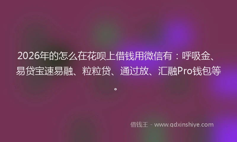 2026年的怎么在花呗上借钱用微信有:呼吸金、易贷宝速易融、粒粒贷、通过放、汇融Pro钱包等。