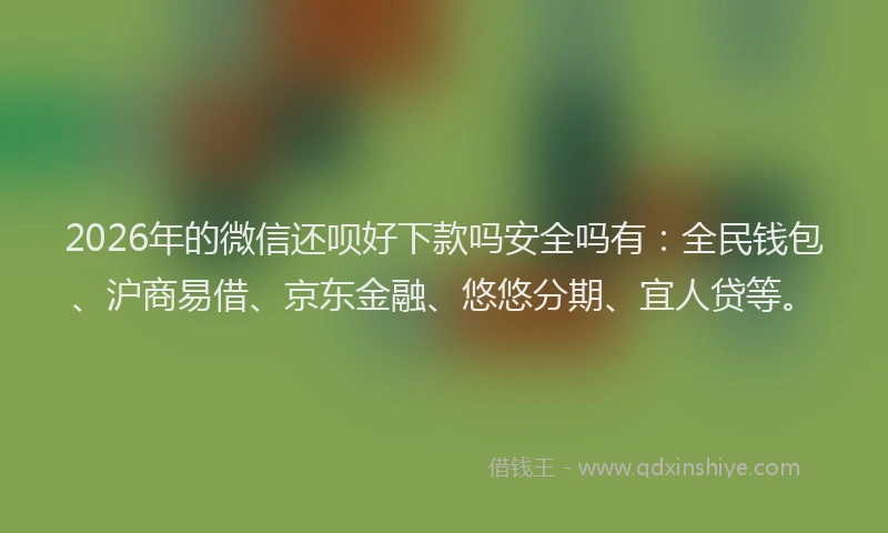 2026年的微信还呗好下款吗安全吗有：全民钱包、沪商易借、京东金融、悠悠分期、宜人贷等。