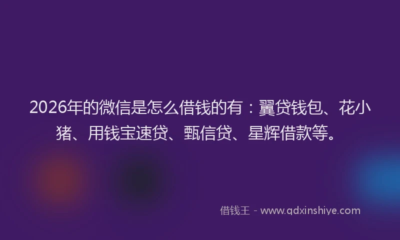 2026年的微信是怎么借钱的有：翼贷钱包、花小猪、用钱宝速贷、甄信贷、星辉借款等。