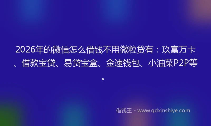 2026年的微信怎么借钱不用微粒贷有：玖富万卡、借款宝贷、易贷宝盒、金速钱包、小油菜P2P等。