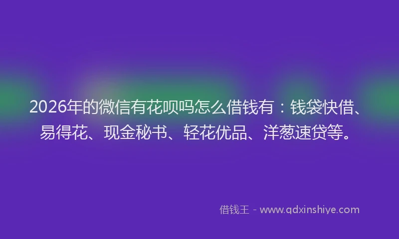 2026年的微信有花呗吗怎么借钱有：钱袋快借、易得花、现金秘书、轻花优品、洋葱速贷等。