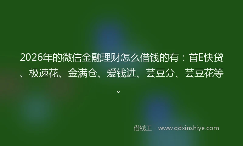 2026年的微信金融理财怎么借钱的有：首E快贷、极速花、金满仓、爱钱进、芸豆分、芸豆花等。
