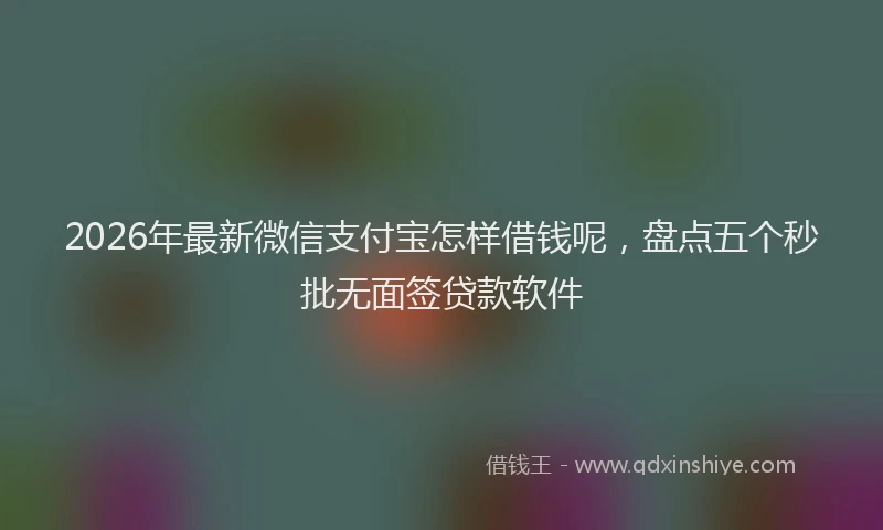 2026年最新微信支付宝怎样借钱呢，盘点五个秒批无面签贷款软件