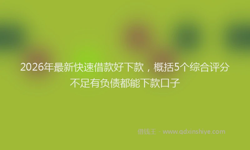 2026年最新快速借款好下款，概括5个综合评分不足有负债都能下款口子