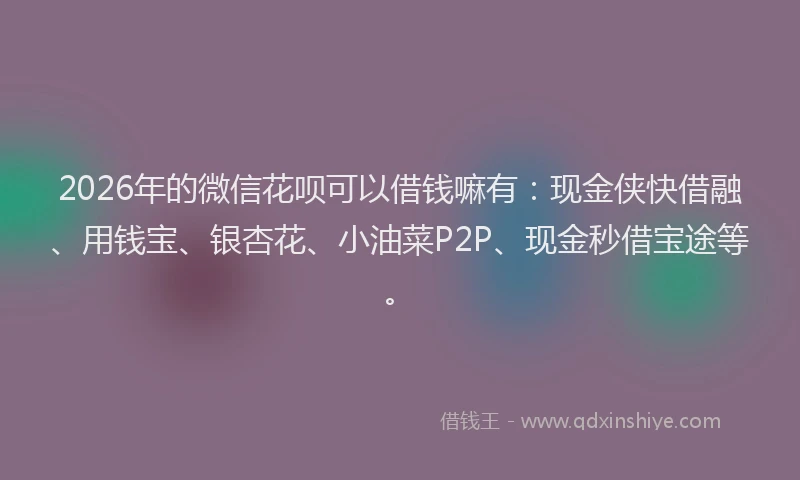 2026年的微信花呗可以借钱嘛有：现金侠快借融、用钱宝、银杏花、小油菜P2P、现金秒借宝途等。