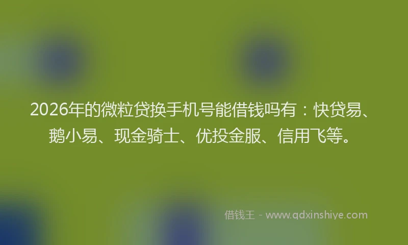 2026年的微粒贷换手机号能借钱吗有：快贷易、鹅小易、现金骑士、优投金服、信用飞等。