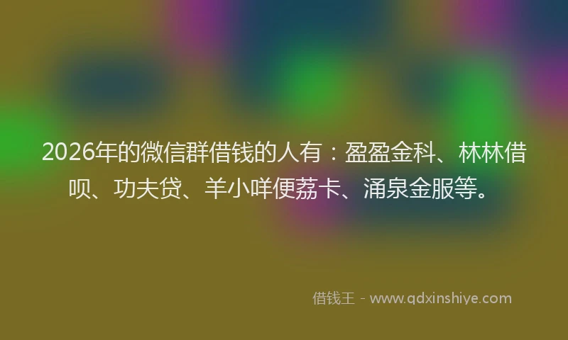 2026年的微信群借钱的人有：盈盈金科、林林借呗、功夫贷、羊小咩便荔卡、涌泉金服等。