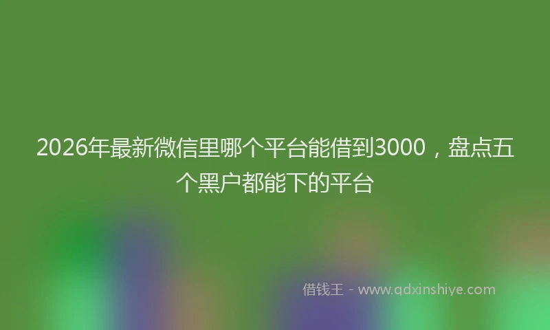 2026年最新微信里哪个平台能借到3000，盘点五个黑户都能下的平台