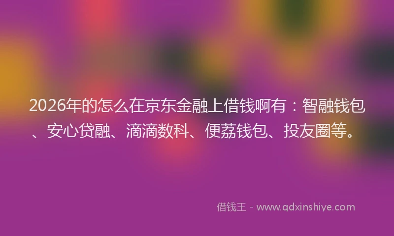 2026年的怎么在京东金融上借钱啊有：智融钱包、安心贷融、滴滴数科、便荔钱包、投友圈等。