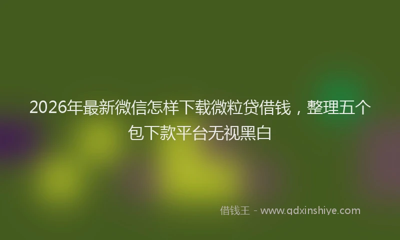 2026年最新微信怎样下载微粒贷借钱，整理五个包下款平台无视黑白