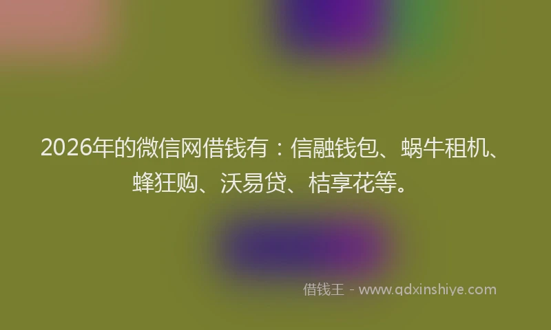 2026年的微信网借钱有：信融钱包、蜗牛租机、蜂狂购、沃易贷、桔享花等。
