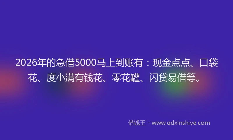 2026年的急借5000马上到账有:现金点点、口袋花、度小满有钱花、零花罐、闪贷易借等。